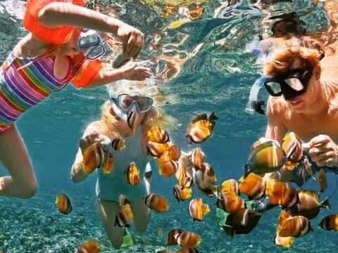 Sharm El Naga Snorkeling Trip | Sharm El-Naga National Park Snorkel Trip