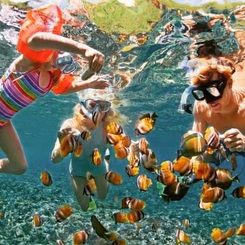 Sharm El Naga Snorkeling Trip | Sharm El-Naga National Park Snorkel Trip