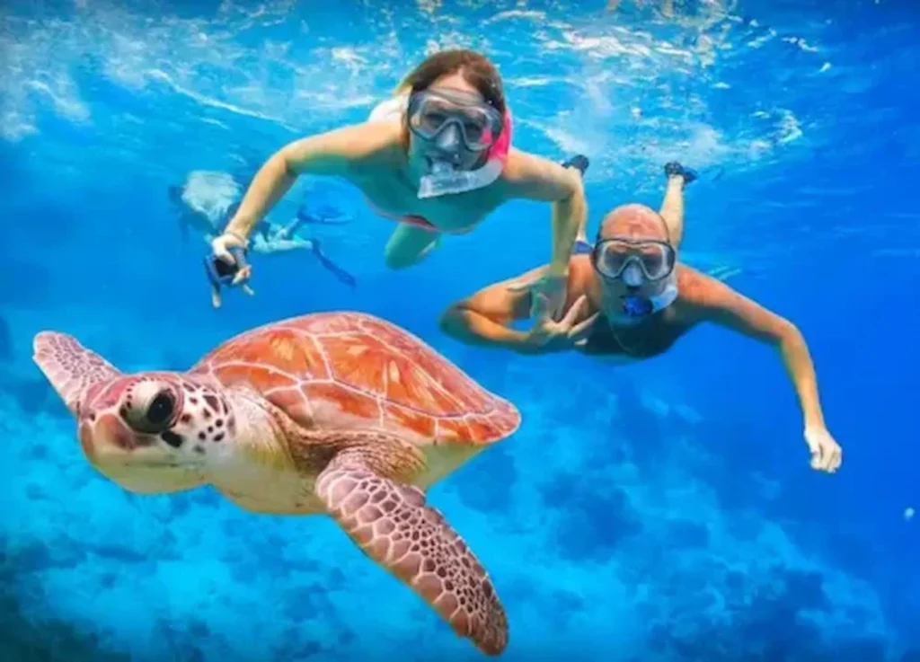 Abu Dabbab Snorkeling Tour & Snorkel with Turtles