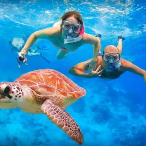 Abu Dabbab Snorkeling - Abu dabbab Beach Full Day Trip with Turtles