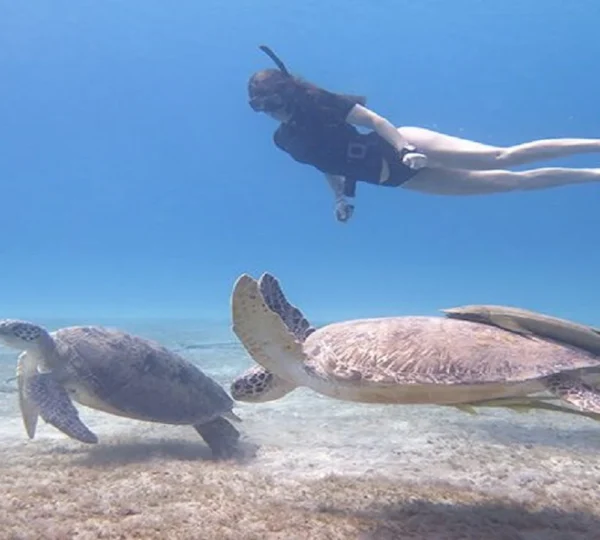 Abu Dabbab Snorkeling tour hurghada tours get your tours egypt 5