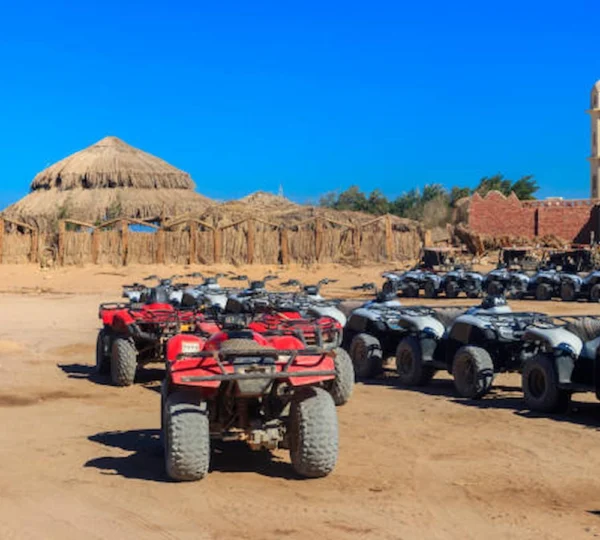 Camel Ride Hurghada-Hurghada tours-get your tours egypt 1