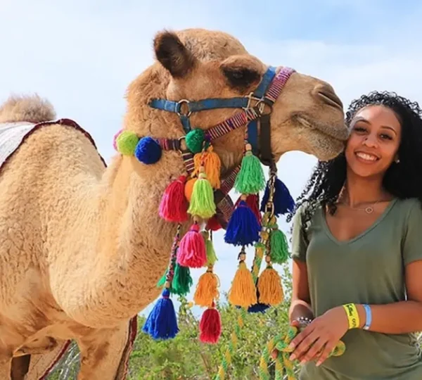 Camel Ride Hurghada-Hurghada tours-get your tours egypt 3