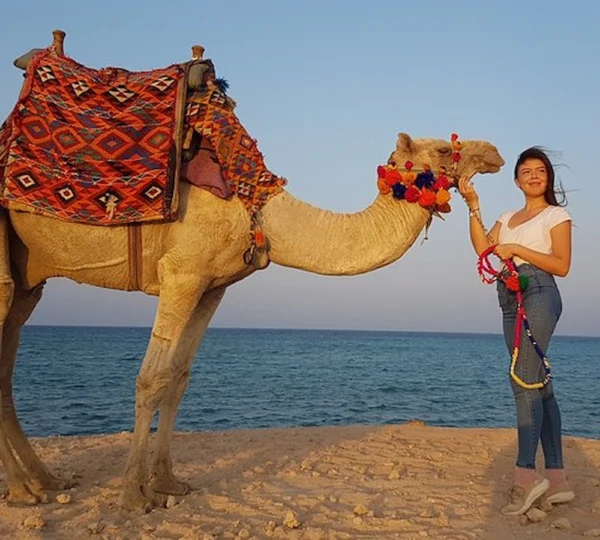 Camel Ride Hurghada-Hurghada tours-get your tours egypt 4