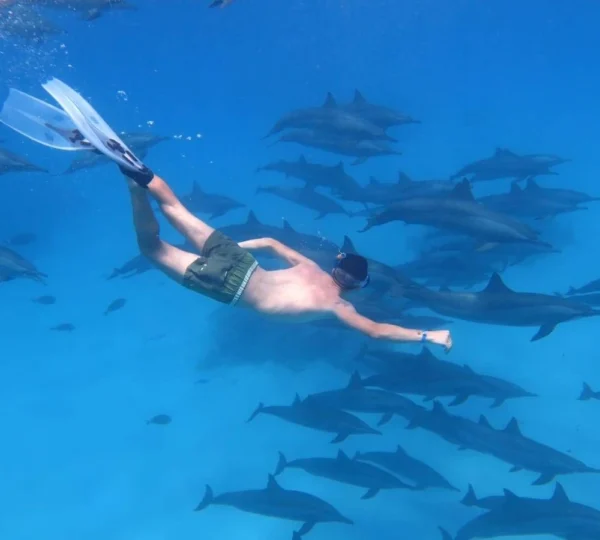 Dolphin House Hurghada tours get your tours egypt 6