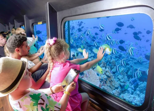 Best Things to Do in Hurghada