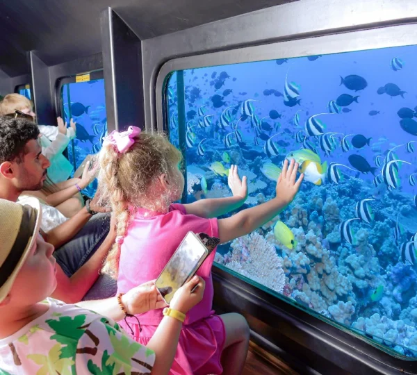 Glass Bottom Boat Hurghada tours get your tours egypt 10