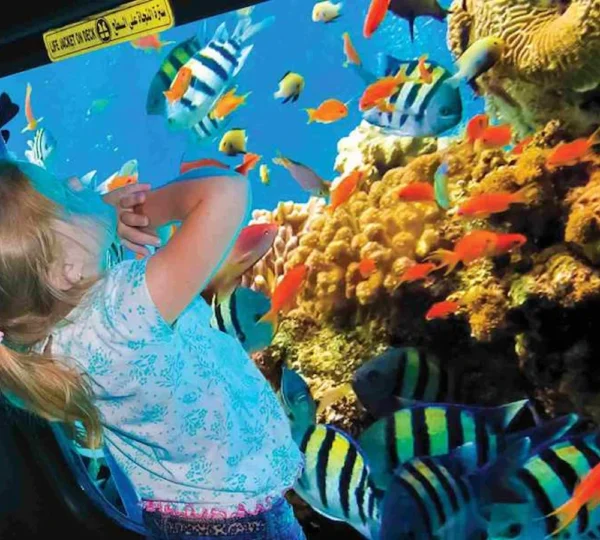 Glass Bottom Boat Hurghada tours get your tours egypt 4
