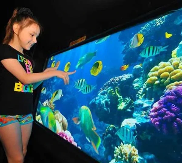 Glass Bottom Boat Hurghada tours get your tours egypt 9