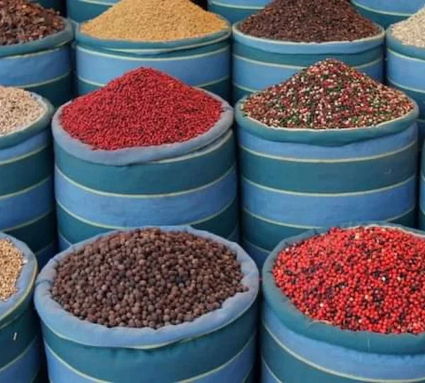 Hurghada City Tour hurghada tours get your tours egypt 3