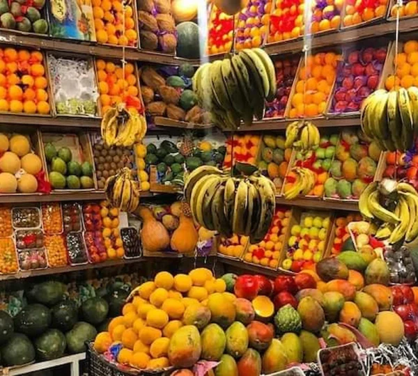 Hurghada City Tour hurghada tours get your tours egypt 4