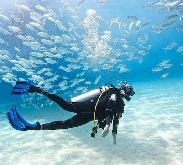 Hurghada Diving Tour hurghada tours get your tours egypt 1