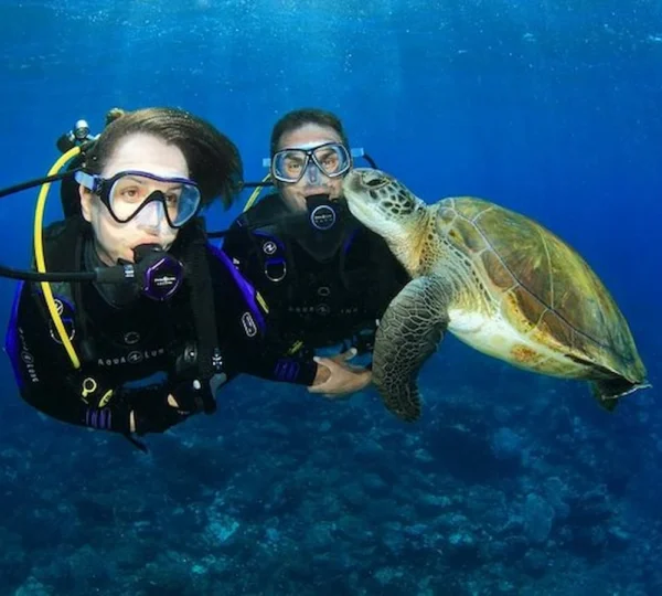 Hurghada Diving Tour hurghada tours get your tours egypt 3