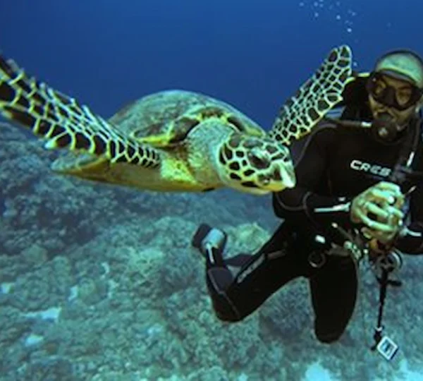 Hurghada Diving Tour hurghada tours get your tours egypt 4
