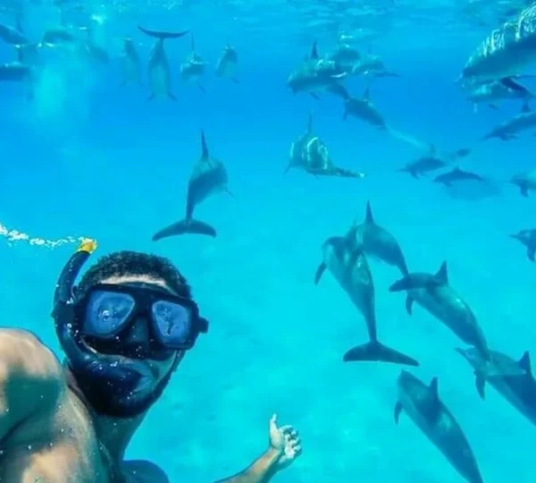 Hurghada Diving Tour hurghada tours get your tours egypt 5