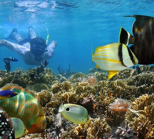 Hurghada Diving Tour hurghada tours get your tours egypt 6