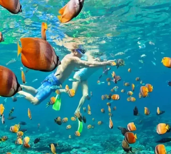 Mahmya Island Snorkeling Trip Hurghada tours Get your tours egypt 2