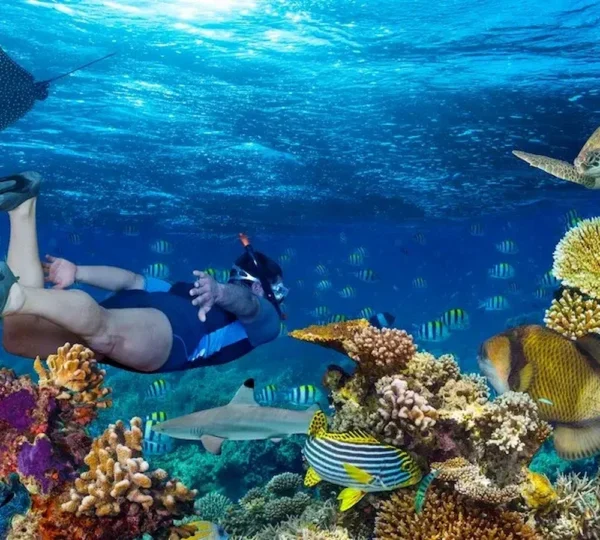 Mahmya Island Snorkeling Trip Hurghada tours Get your tours egypt 3