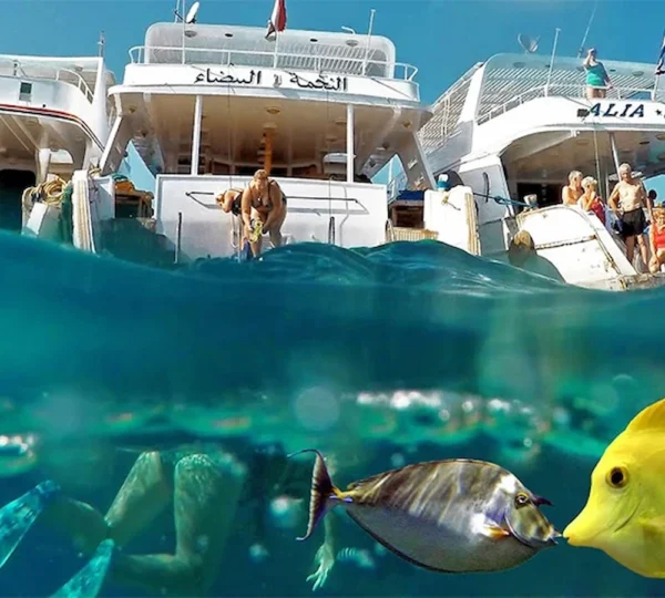 Mahmya Island Snorkeling Trip Hurghada tours Get your tours egypt 5