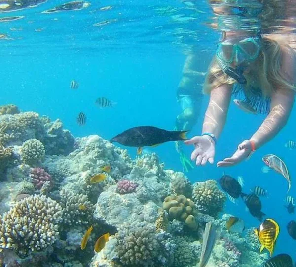 Orange Bay Hurghada Snorkeling Trip Hurghada tours Get your tours egypt 4