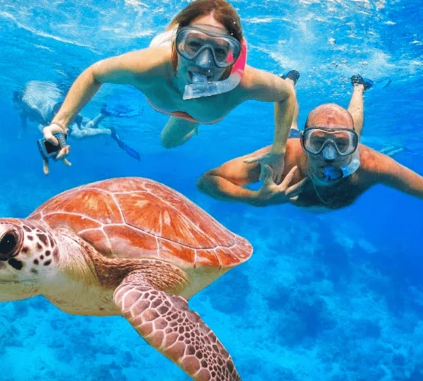 Paradise Island Hurghada tours Get your tours egypt 7