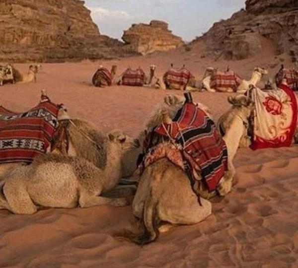 Super Safari Hurghada-Hurghada tours-get your tours egypt 3