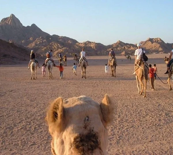 Super Safari Hurghada-Hurghada tours-get your tours egypt 4