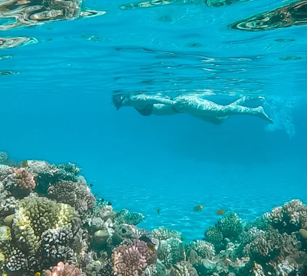 Eden Island Hurghada tours get your tours egypt 4