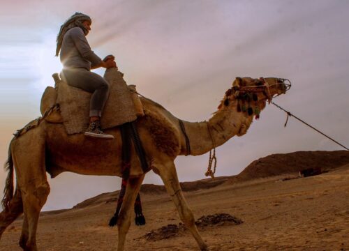 Camel Ride in Hurghada: Private Sea and Desert Trips