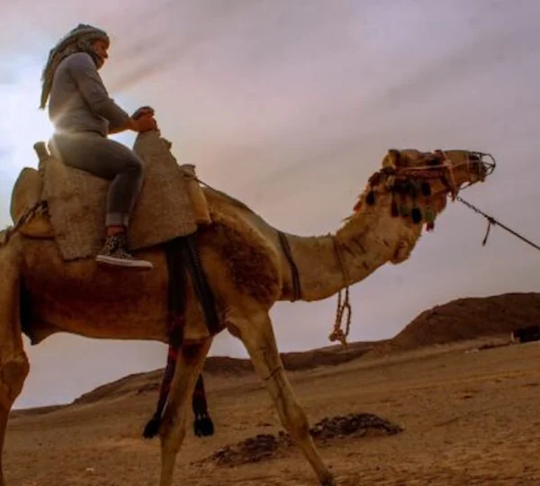 Desert Hurghada: Camel Ride in Hurghada & Private Sea