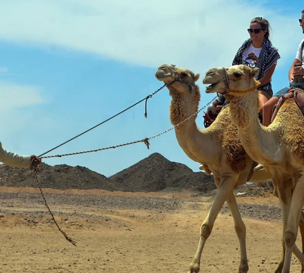 Desert Hurghada-Hurghada tours-get your tours egypt 5