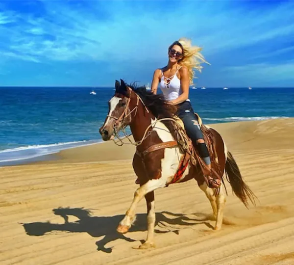 Horse Riding in Hurghada Egypt-Hurghada tours-get your tours egypt 2