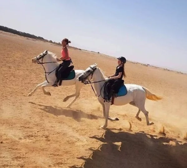 Horse Riding in Hurghada Egypt-Hurghada tours-get your tours egypt 3