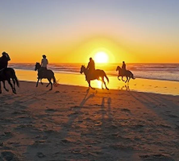 Horse Riding in Hurghada Egypt-Hurghada tours-get your tours egypt 4