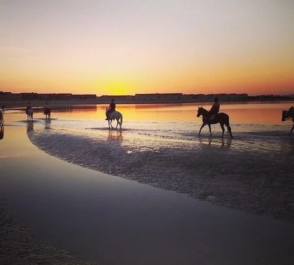 Horse Riding in Hurghada Egypt-Hurghada tours-get your tours egypt 5