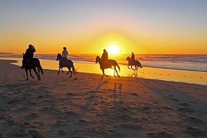 Horseback Riding in Hurghada - Private Sea and Desert Rides