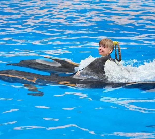 Dolphin Show Hurghada tours get your tours egypt 1