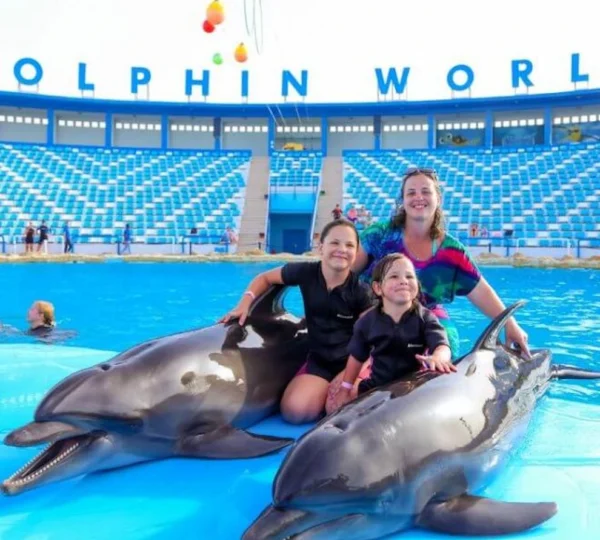 Dolphin Show Hurghada tours get your tours egypt 2