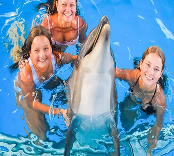 Dolphin Show Hurghada tours get your tours egypt 3