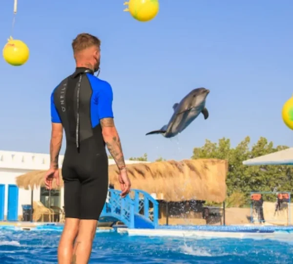 Dolphin Show Hurghada tours get your tours egypt 5