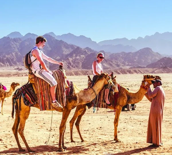Camel Ride in Sharm el Sheikh Tours get your tours egypt 3