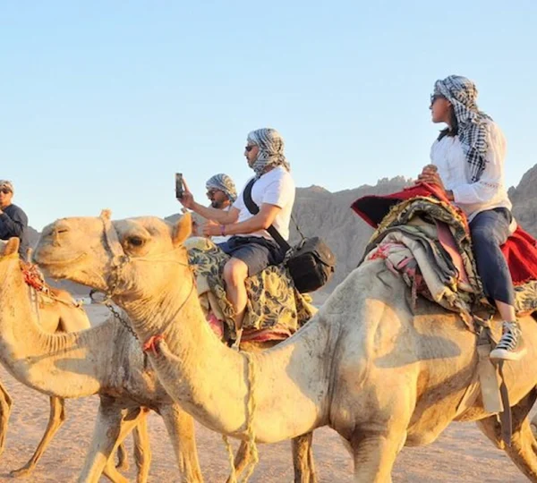 Camel Ride in Sharm el Sheikh Tours get your tours egypt 9