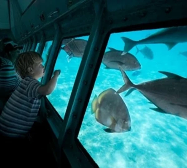 Glass Boat Sharm el Sheikh Tours get your tours egypt 1