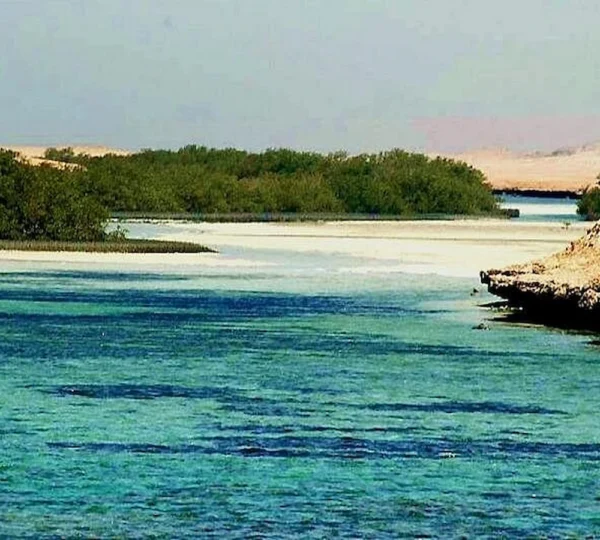 Ras Mohamed Sharm el Sheikh tours get your tours egypt 2