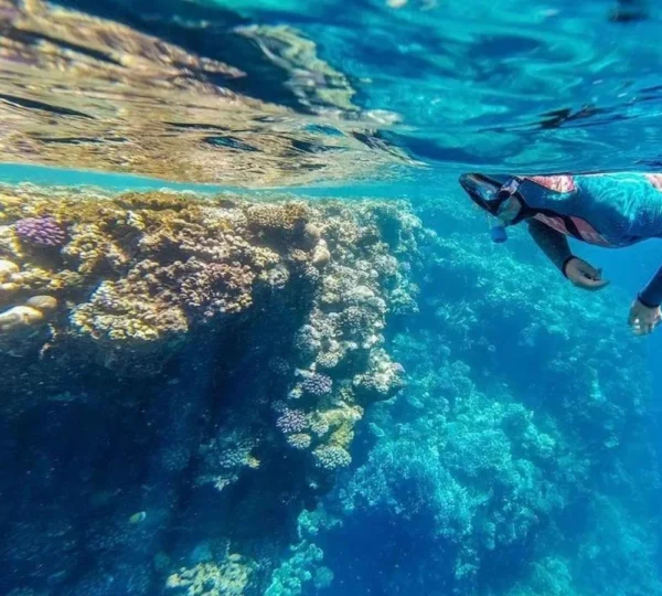 Ras Mohamed Sharm el Sheikh tours get your tours egypt 3