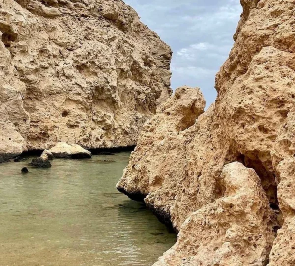 Ras Mohamed Sharm el Sheikh tours get your tours egypt 4