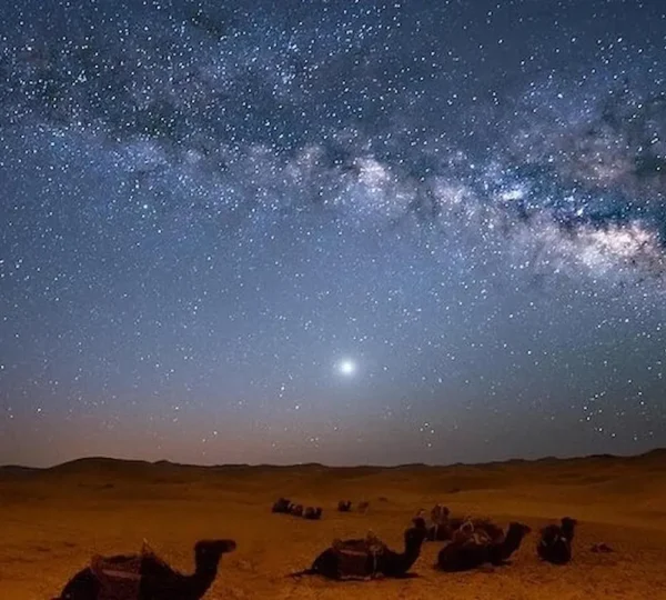 Stargazing Sharm el Sheikh Tours get your tours egypt 11