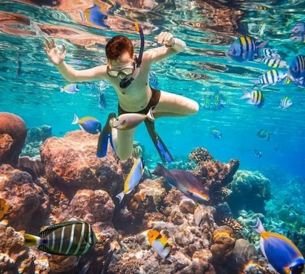 White Island Snorkeling Sharm el Sheikh tours get your tours egypt 2
