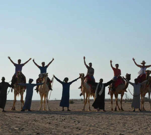 Camel Ride Hurghada Egypt