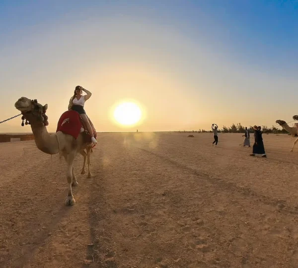 Hurghada desert by camel
